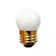 Other Bulbs